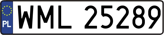 WML25289