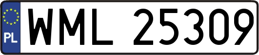 WML25309