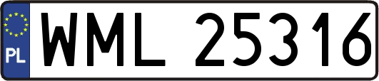 WML25316