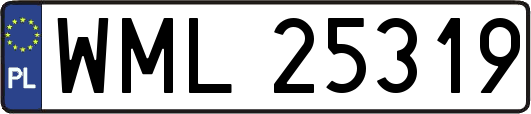 WML25319