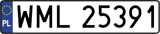 WML25391