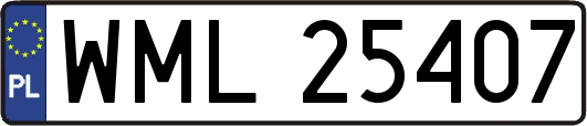 WML25407