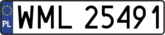 WML25491