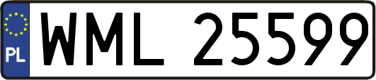 WML25599