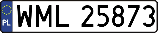 WML25873
