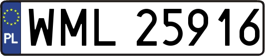 WML25916