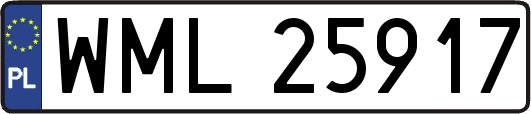 WML25917
