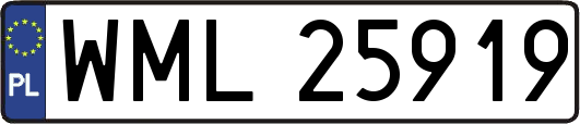WML25919