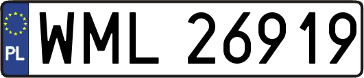 WML26919