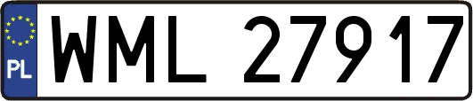 WML27917