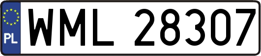 WML28307