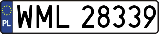 WML28339