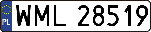 WML28519