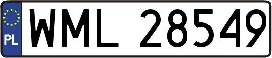 WML28549