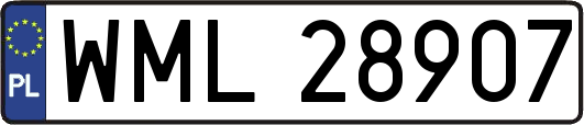 WML28907