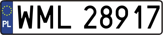 WML28917