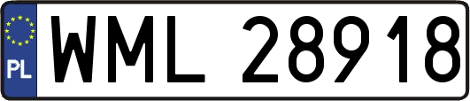WML28918