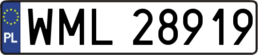 WML28919