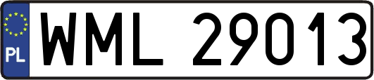 WML29013