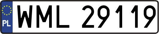 WML29119