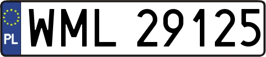 WML29125