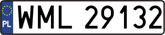 WML29132