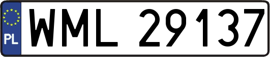 WML29137