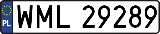WML29289