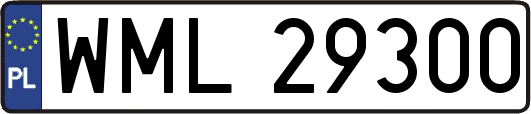WML29300