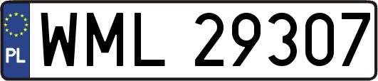 WML29307