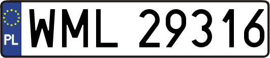 WML29316