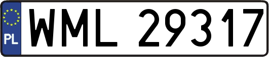 WML29317
