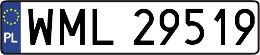 WML29519