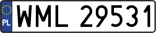 WML29531