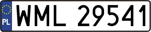 WML29541