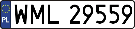 WML29559