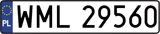 WML29560