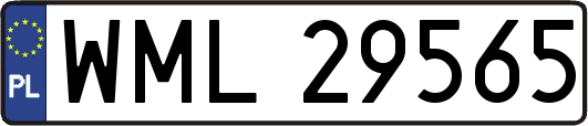 WML29565