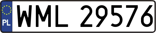 WML29576