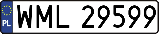 WML29599