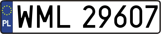 WML29607