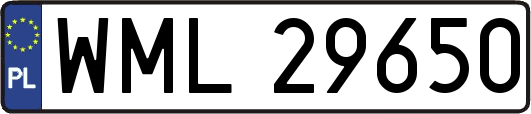 WML29650