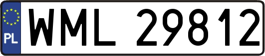 WML29812
