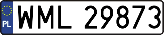 WML29873