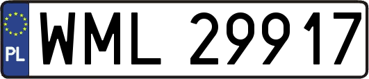 WML29917