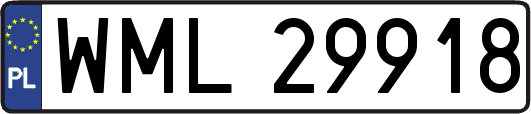 WML29918