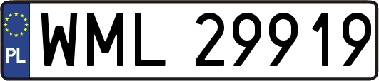 WML29919