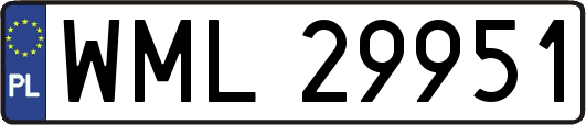 WML29951
