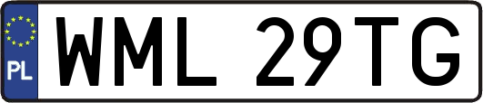 WML29TG
