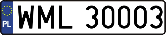 WML30003